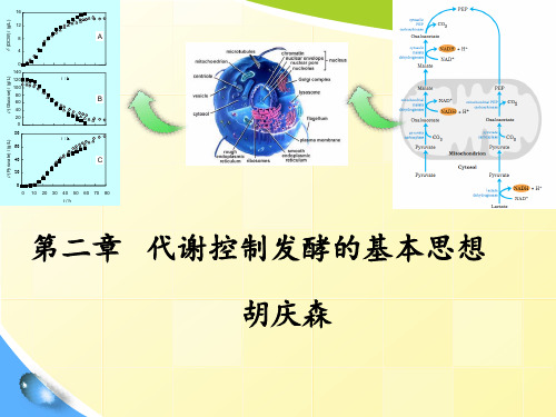 江南大学发酵调控基本思想