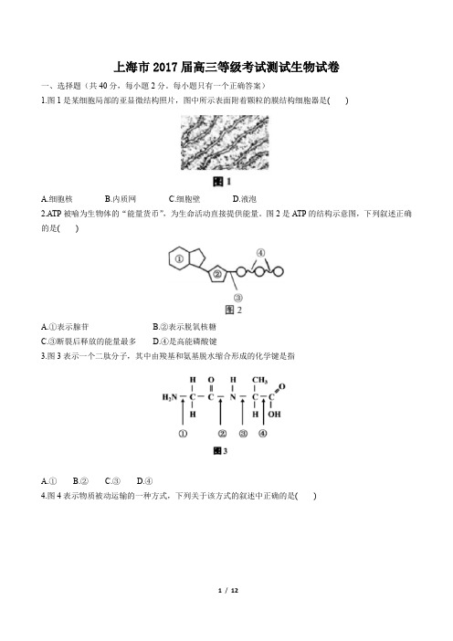 【上海市】2017届高三等级考试测试生物试卷(附答案与解析)