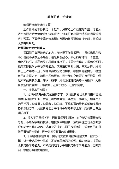 教师研修自培计划