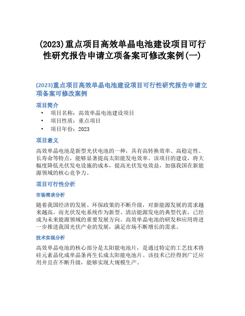 (2023)重点项目高效单晶电池建设项目可行性研究报告申请立项备案可修改案例(一)