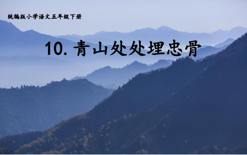 10 青山处处埋忠骨 课件(共21张PPT)