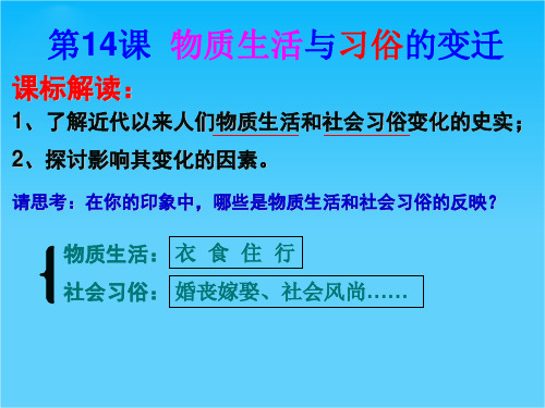 高一历史精品课件1第14课 物质生活与习俗的变迁(人教版必修2)