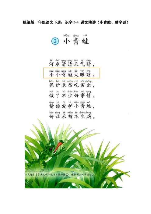 统编版一年级语文下册：识字3-4 课文精讲(小青蛙、猜字谜)