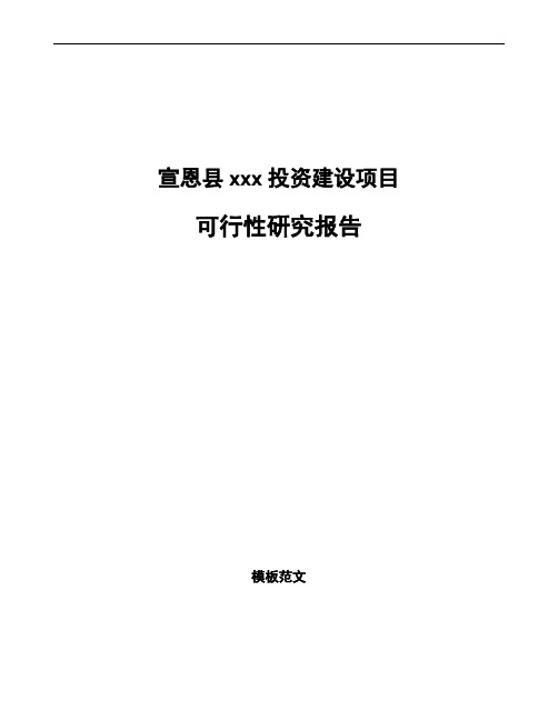 宣恩县如何编写项目可行性研究报告(参考范文)