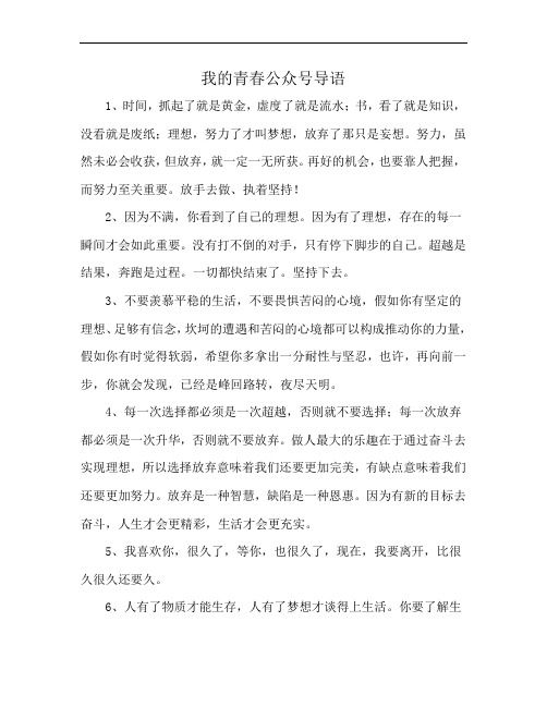 我的青春公众号导语