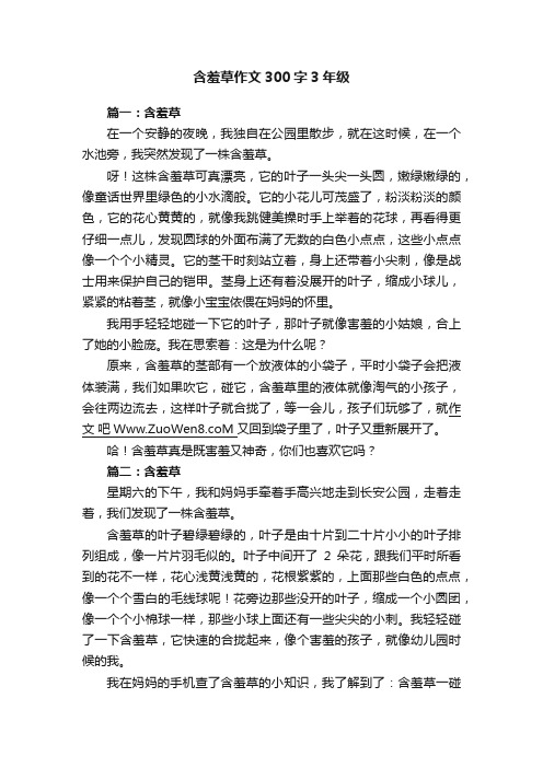 含羞草作文300字3年级