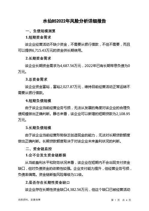 420008水仙B52022年财务风险分析详细报告