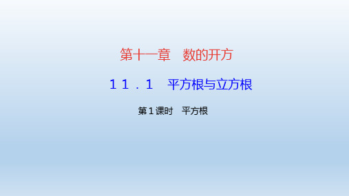 数学八年级上册第11章数的开方 作业课件 华东师大版