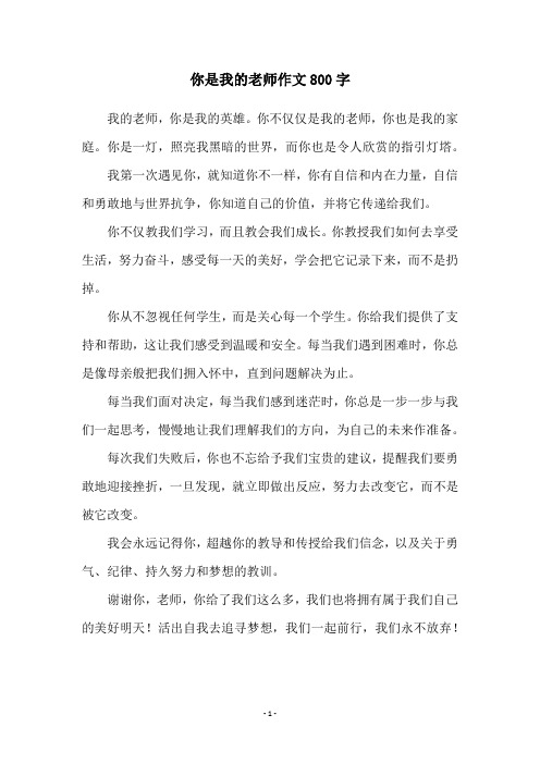 你是我的老师作文800字