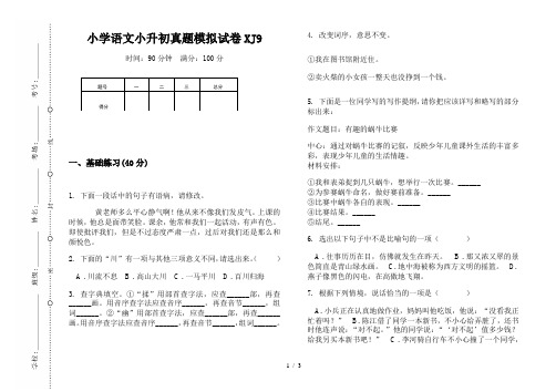 【小学教育】2019最新小学语文小升初(通用版)真题模拟试卷XJ9—8K可直接打印