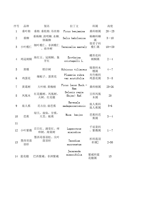 厦门常见植物介绍