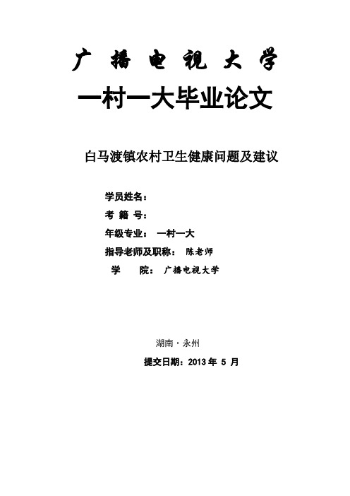 农村卫生健康问题及建议汇总