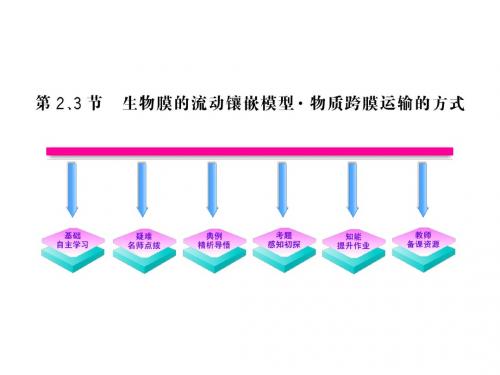 4.2&3 生物膜的流动镶嵌模型 物质跨膜运输的方式(新人教版必修1)