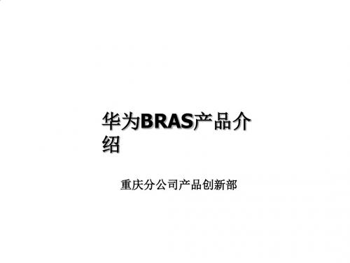 华为BRAS产品简要介绍PPT(28张)