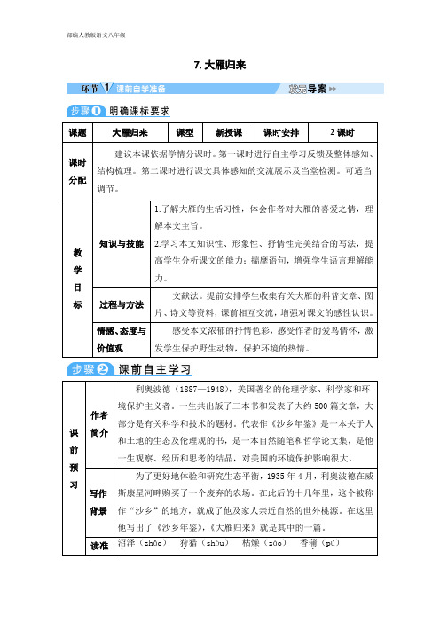 部编人教版语文八年级下册 导学案 第2单元 7 大雁归来