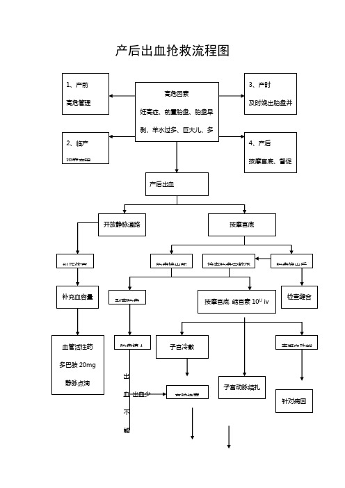 产后大出血抢救流程图