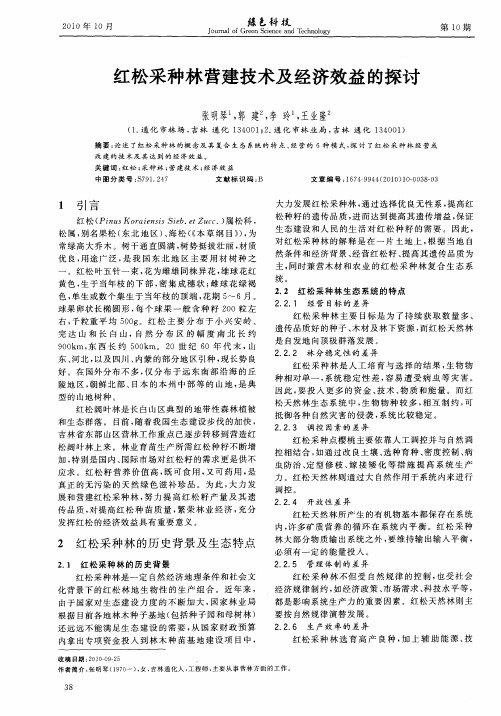 红松采种林营建技术及经济效益的探讨