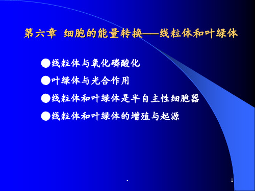 6-细胞的能量转换-线粒体和叶绿体PPT课件