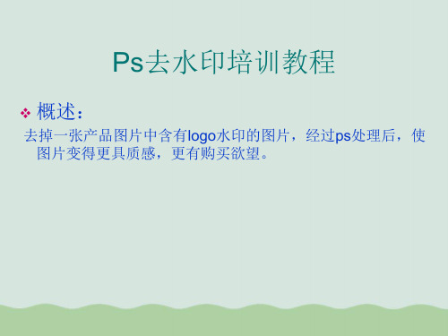 Ps去水印培训教程PPT(共12页)