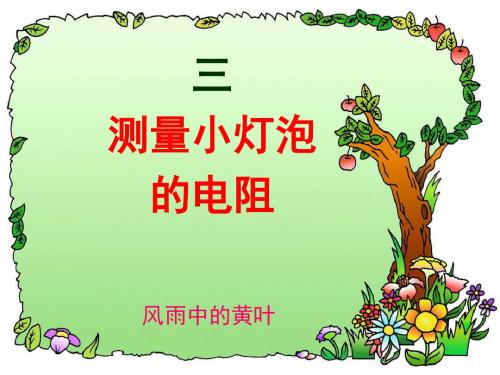 测量小灯泡的电阻 PPT课件4 人教版