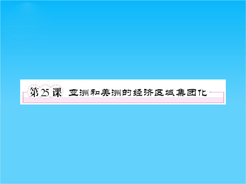 高一历史必修2(岳麓版)课件 第25课 亚洲和美洲的经济区域集团化