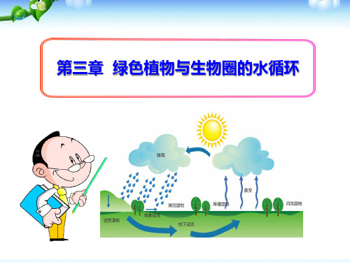 人教版七年级生物圈中的绿色植物《绿色植物参与生物圈的水循环》(PPT课件)