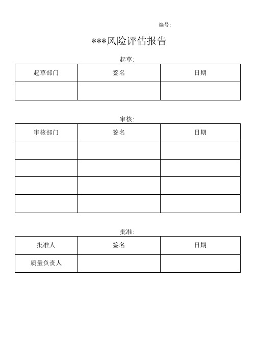 风险评估报告模板