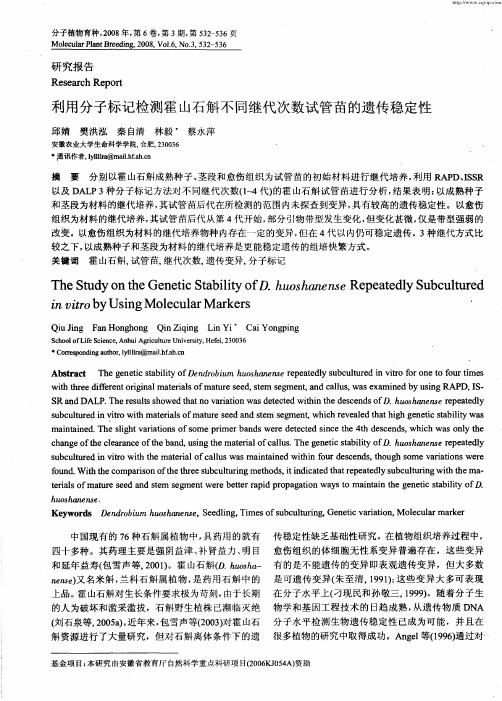 利用分子标记检测霍山石斛不同继代次数试管苗的遗传稳定性