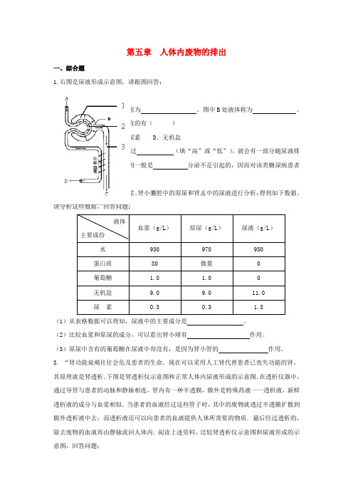 七年级生物下册 第5章 人体内废物的排出课堂训练 (新版)新人教版