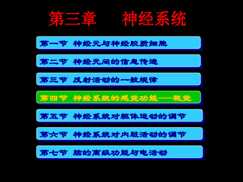 神经系统的感觉功能---概述与视觉