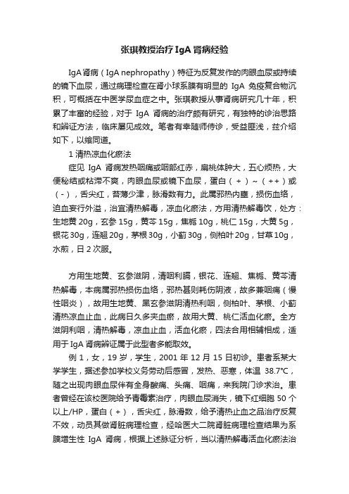 张琪教授治疗IgA肾病经验