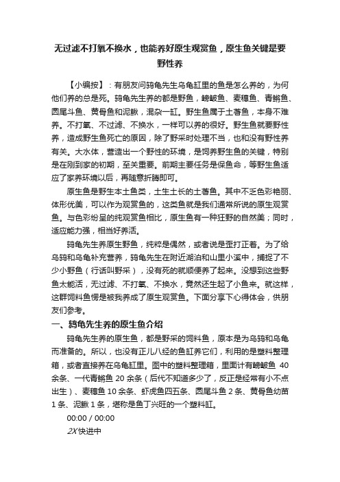 无过滤不打氧不换水，也能养好原生观赏鱼，原生鱼关键是要野性养