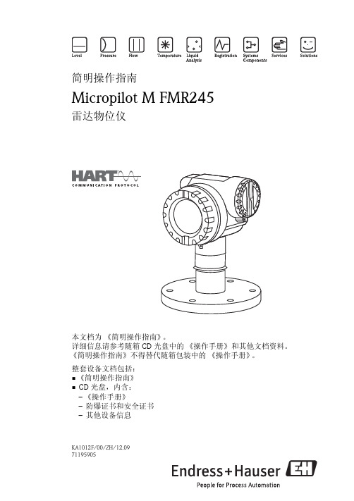 E+H MicroPilot HART M FMR245 雷达物位计简明操作指南