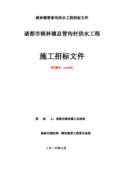 桃林镇管家沟供水工程招标文件