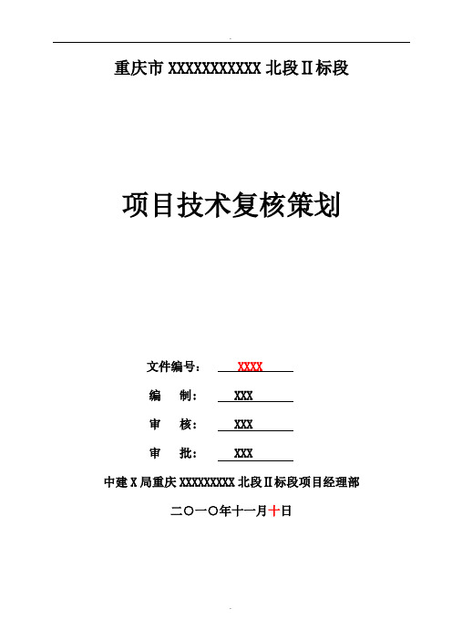 某市政项目技术复核策划书精品word