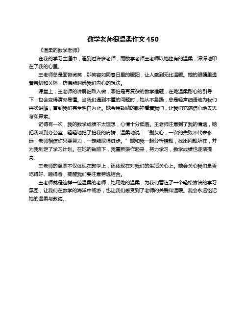 数学老师很温柔作文450