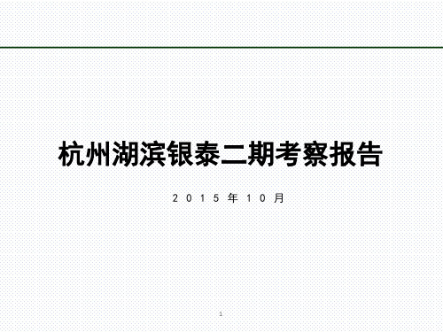 杭州湖滨银泰二期2015最新调研报告