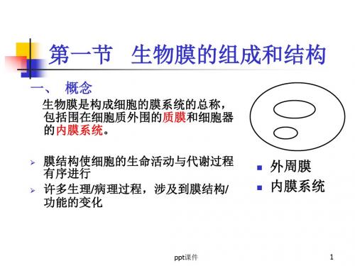 生物膜的组成与结构  ppt课件