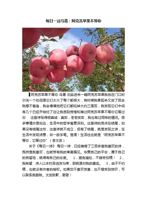 每日一诗乌青：阿克苏苹果不等你