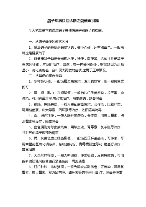 鸽子疾病快速诊断之粪便识别篇