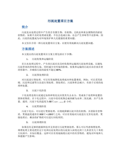 污泥处置项目方案