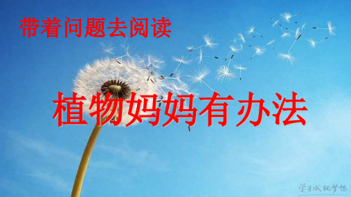 【部编本】语文二年级上册《植物妈妈有办法》课件详解