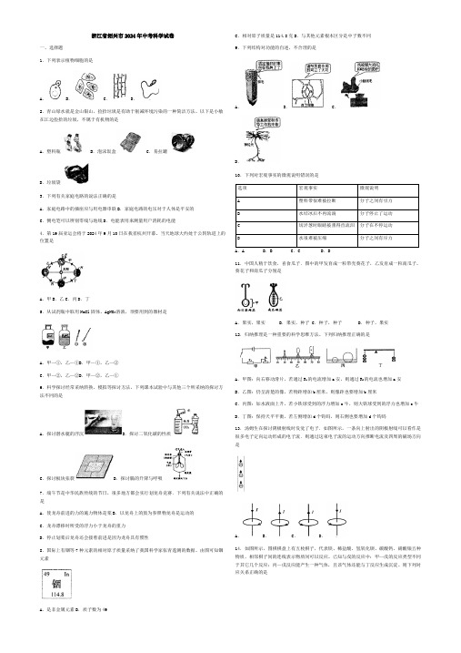 浙江省绍兴市2024年中考科学真题试卷(word版-含图片答案)