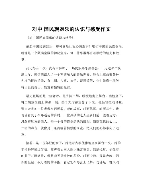 对中 国民族器乐的认识与感受作文