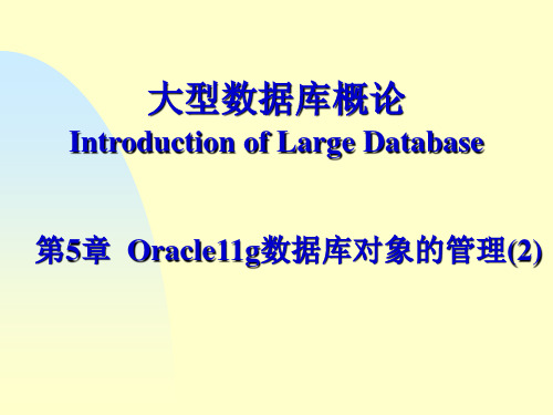 第5章 PLSQL编程(3)