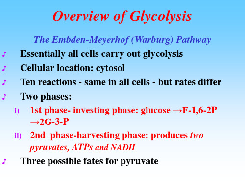 基础生物化学糖酵解Glycolysis