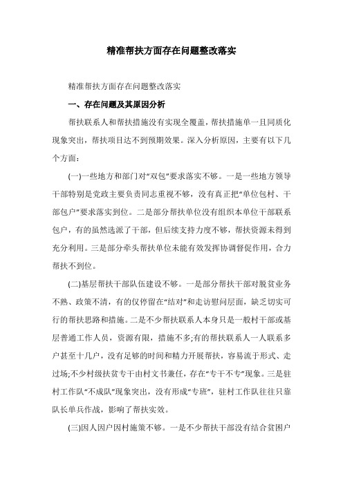 精准帮扶方面存在问题整改落实