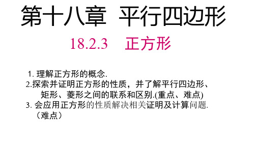 2023-2024学年人教版数学八年级下册18.2.3正方形课件