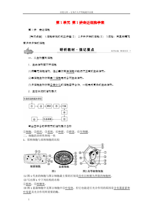 高考生物总温习第1单元第1讲走近细胞学案