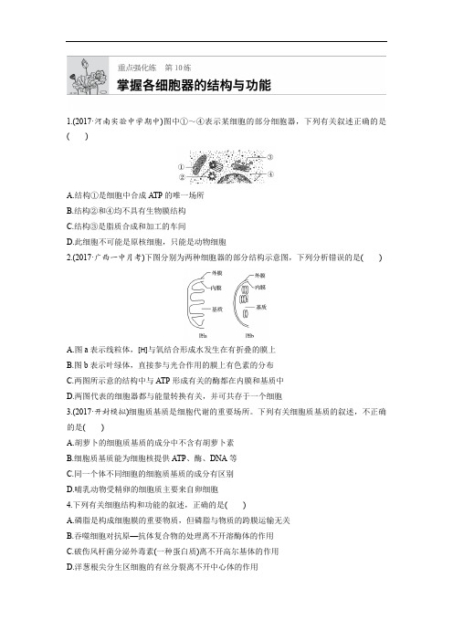 2019版高考生物 第10练 含答案 精品